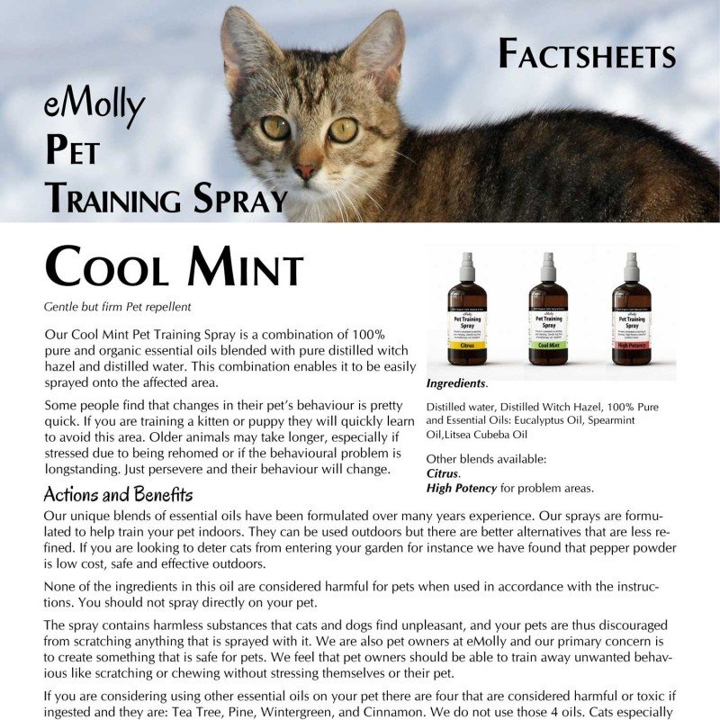 Pet Training Spray - Mint