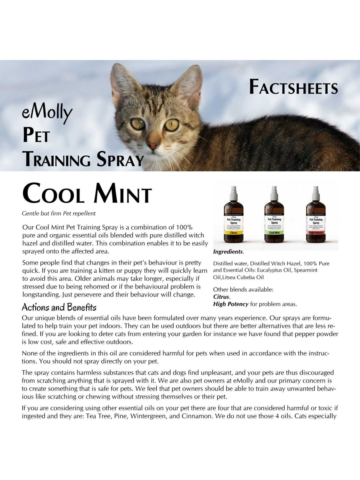 Pet Training Spray - Mint