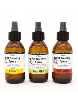 Pet Training Spray - LARGE PACK