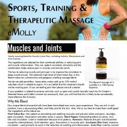 Sports Massage - Muscle & Joints